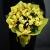 Букет из 13 лимонных орхидей в Красногорске Букет из 13 лимонных орхидей в Красногорске