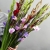 Букет из 25 гладиолусов микс в Красногорске Букет из 25 гладиолусов микс в Красногорске